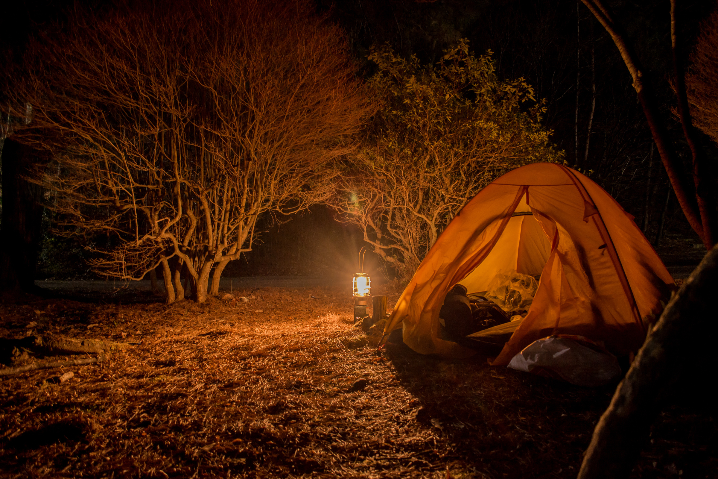 camp